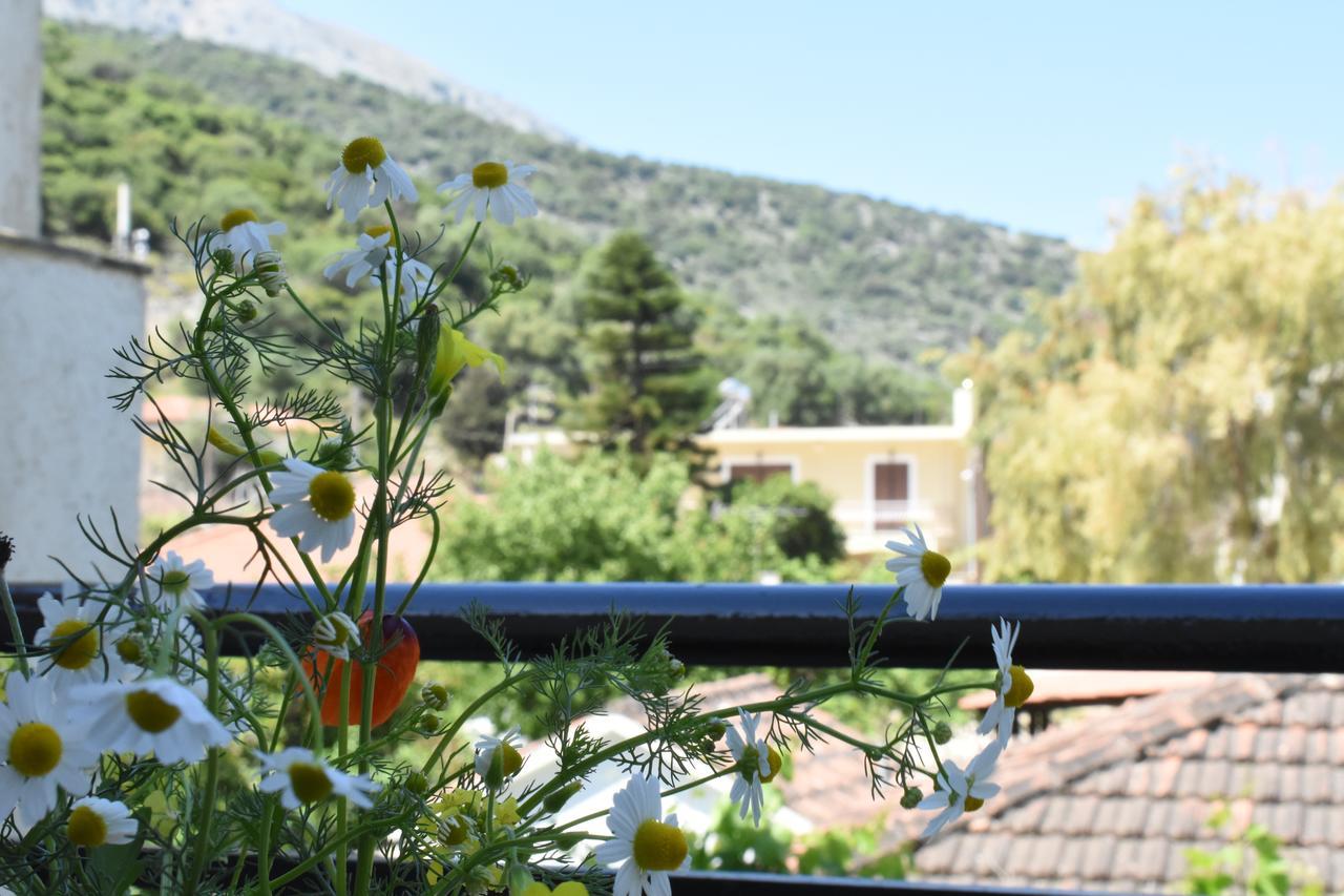 Starvillas Apartments And Studios أيّا إفيميا المظهر الخارجي الصورة